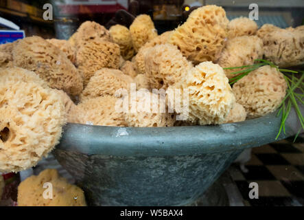 Close-up of a large bowl filled with natural sea sponges displayed in a shop window with reflections on the glass Stock Photo