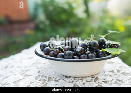 black currant in small plate on table Stock Photo