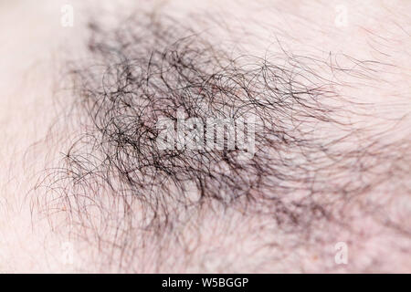 Mans hairs macro background fine art high quality prints products fifty megapixels Stock Photo