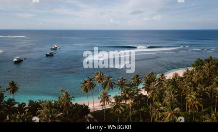 Surfing on a beach with palm trees in Indonesia Stock Photo