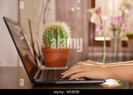 Woman working at home office hand on laptop. Hands typing on keyboard on wooden desk and blurred background. Close up, selective focus Stock Photo