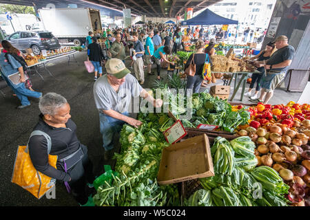 Customers shopping at the farmers market under JFX  in Baltimore, MD Stock Photo