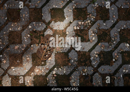 The white bricks tile floor Stock Photo
