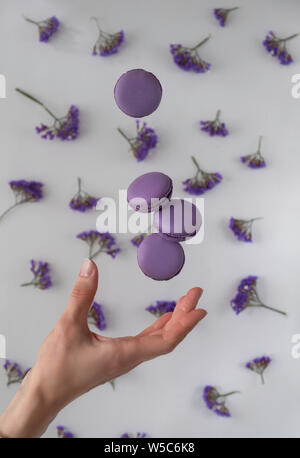 Traditional French, purple, lilac macaroons cookies in motion falling (levitation) on a white with flowers background. Stock Photo