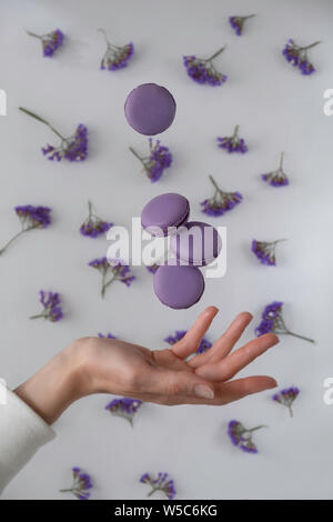 Traditional French, purple, lilac macaroons cookies in motion falling (levitation) on a white with flowers background. Stock Photo