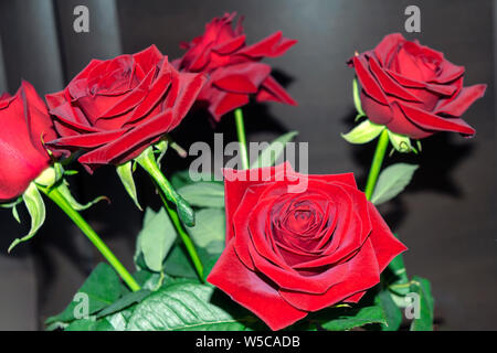 Bouquet of red roses on a blured background. Close-up Stock Photo - Alamy