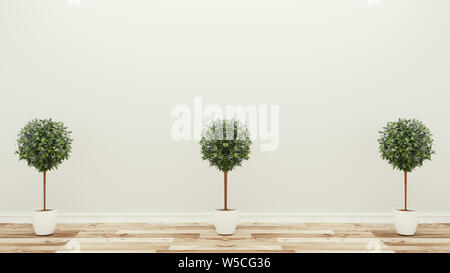 empty room,three plants,tropical modern empty room. 3D rendering Stock Photo