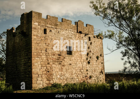 Peel Tower, Creswell towers, Northumberland, England Stock Photo