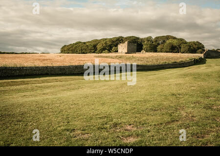 Cresswell, Northumberland, England,Peel tower and wall, Stock Photo