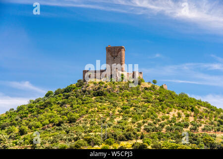 Hilltop castle in Feria, Tierra de Barros region, Badajoz province, Extremadura, Spain Stock Photo