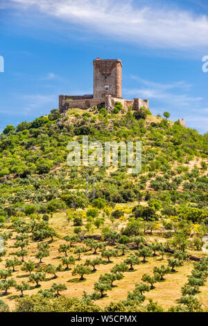 Hilltop castle in Feria, Tierra de Barros region, Badajoz province, Extremadura, Spain Stock Photo