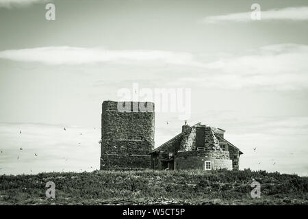 Brownsman Island Lighthouse, Farne Islands, Northumberland UK Stock Photo