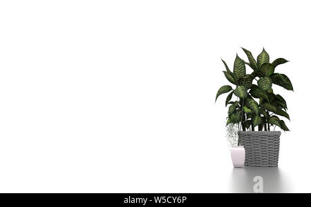 Green plants in white background. 3d rendering Stock Photo