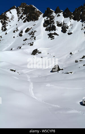 Ski tracks cross the fresh snow in a paradise for wilderness skiing Stock Photo