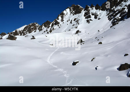 Ski tracks cross the fresh snow in a paradise for wilderness skiing Stock Photo