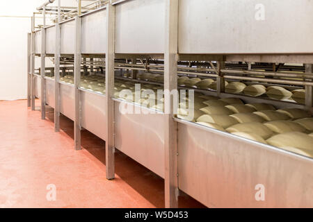 Salting parmesan in cheese factory in Italy Stock Photo