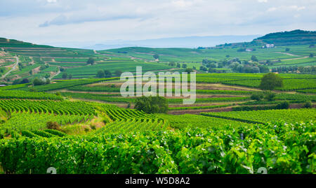 vineyards in the Kaiserstuhl area in germany Stock Photo