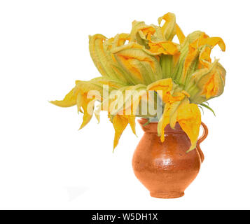 Zucchini flowers in rustic pot, isolated on a white background. Stock Photo