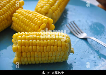 Several ripe corn cobs prepared with vegetable oil and salt, selective focus on a blue round plate Stock Photo