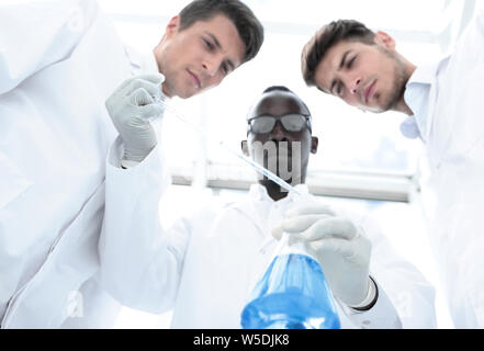 group of scientists examines the liquid in the flask. Stock Photo
