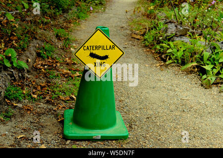 a-yellow-yield-sign-on-a-green