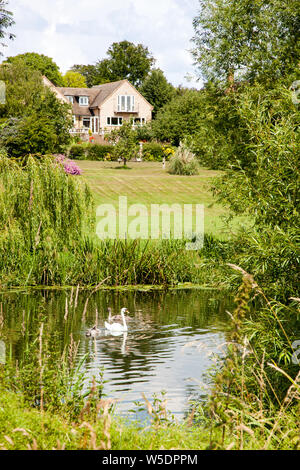 Tranquil scene on the river Avon in Warwickshire England with swans and signets on the water Stock Photo