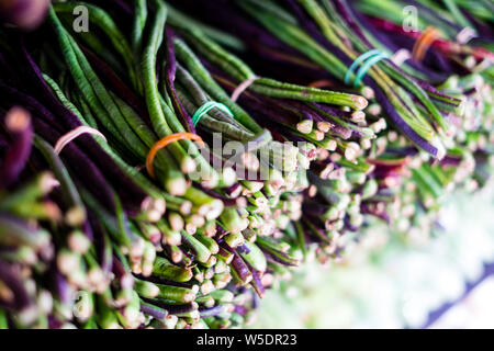 Stack of string beans. Selective focus. Copy space. Stock Photo