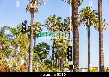 Los Angeles California, USA. May 31, 2019. Sunset Bl. text on green sign, red traffic lights, palm trees and blue sky background. Sunny spring day. Stock Photo