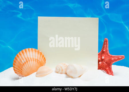 Blank message wit seashells and a starfish on sand Stock Photo