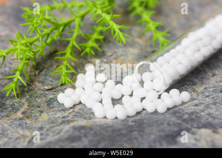 alternative medicine and homeopathic herbal pills Stock Photo