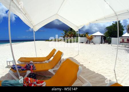 Yellow sun loungers and towels under the big expensive sun