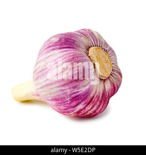 Violet bulb of fresh garlic on white Stock Photo