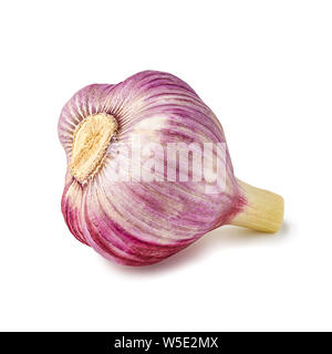 Violet bulb of fresh garlic on white Stock Photo