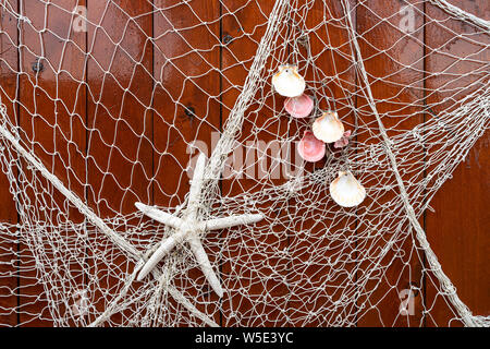 Background from a fishing net and seashells on a wooden surface. Stock Photo