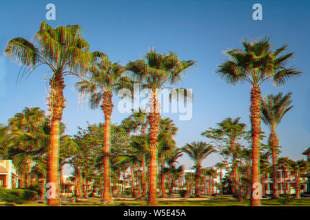 Alley with palm trees on a tropical resort in Egypt Glitch Effect Stock Photo