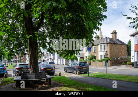 A horse chestnut tree with a bench around it next to Horton Road in the village of Datchet, Berkshire, UK Stock Photo
