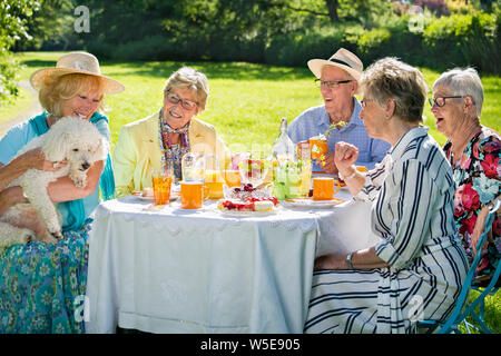 Senior family members are picnicking in park, having meal, eating cake, drinking fruit juice, enjoying a small white dog, held in arms by a blond lady. Stock Photo