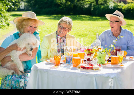 Elderly people sitting with pet at picnic table, white dog is trying to steal the food from them. The old couple next to are amused and laughing. Stock Photo