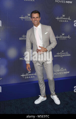 Cameron Mathison at the Hallmark Channel Summer TCA Event held at a ...