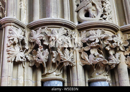 The leaves of Southwell in the 13th century Chapter House at the Cathedral of Southwell Minster, Southwell, Nottinghamshire, England, UK Stock Photo