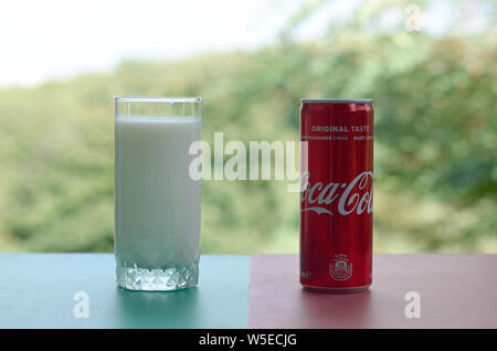 KHARKIV, UKRAINE - JULY 20, 2019: Coca cola red tin can and cup of fresh milk on colored surface with background of green garden. Healthy and unhealth Stock Photo