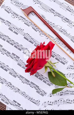Violin bow and rose on music sheets. Stock Photo