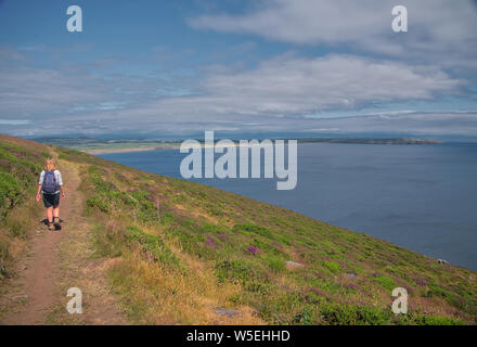 A lone walker on the Wales Coast Path on the Llyn Peninsula, Gwynedd, Wales, UK, with Porth Neigwl / Hell's Mouth in the background Stock Photo