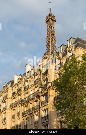 Eiffel Tower above apartment buildigs and tree, Paris Stock Photo