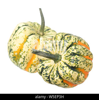 Two mini pumpkins isolated on a white background Stock Photo - Alamy