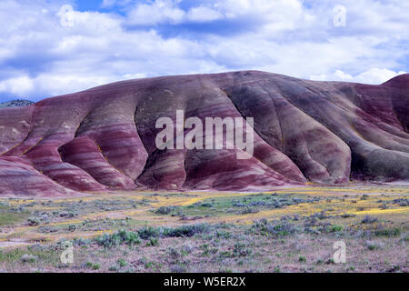 Oregon's Painted Hills is one of the three units of the John Day Fossil Beds National Monument, located in Wheeler County, Oregon. It totals 3,132 acr Stock Photo