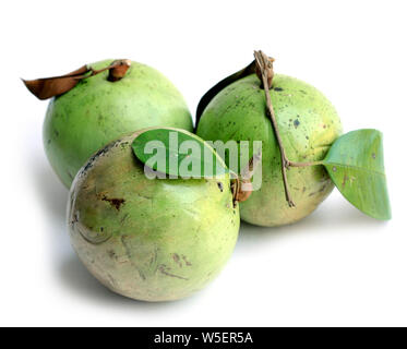 very sweet green color star apple fruit (Swarnapathry) on white Stock Photo
