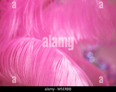 Pink ostrich feather background Stock Photo