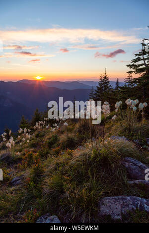 Beautiful View of American Mountain Landscape during a vibrant and colorful summer sunset. Taken from Sun Top Lookout, in Mt Rainier National Park, So