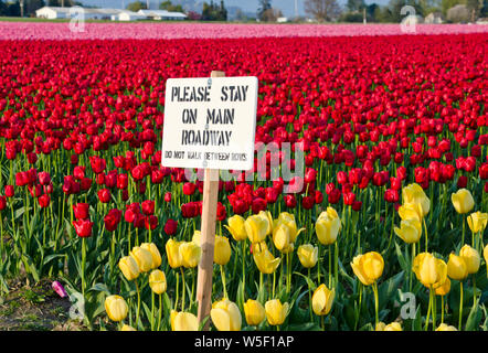 Sign warning people to stay out of the tulip fields in Mount Vernon, Skagit Valley, Washington, USA.